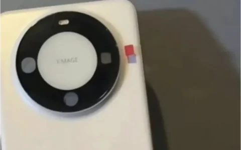 华为Mate 60真机谍照曝光  药丸挖孔屏+双色拼接方案