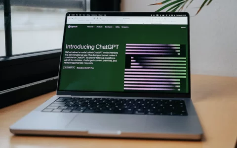 Chat gpt网赚干货  如何用Chatgpt实现赚钱？
