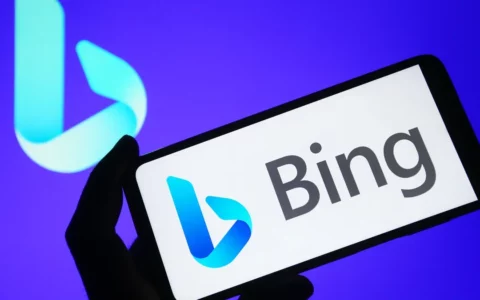 微软Bing Chat 聊天机器人开始支持Google Chrome浏览器