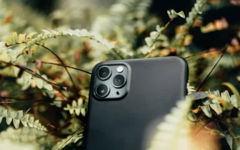 苹果发布iPhone 15和iPhone 15 Plus   搭载A16 仿生芯片、更轻薄