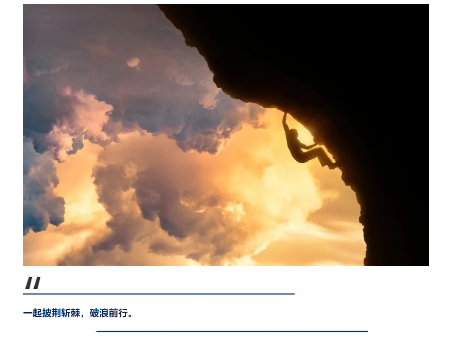 登峰造极境,凤凰涅槃时 上海科创-海望登峰CEO特训营招募开启