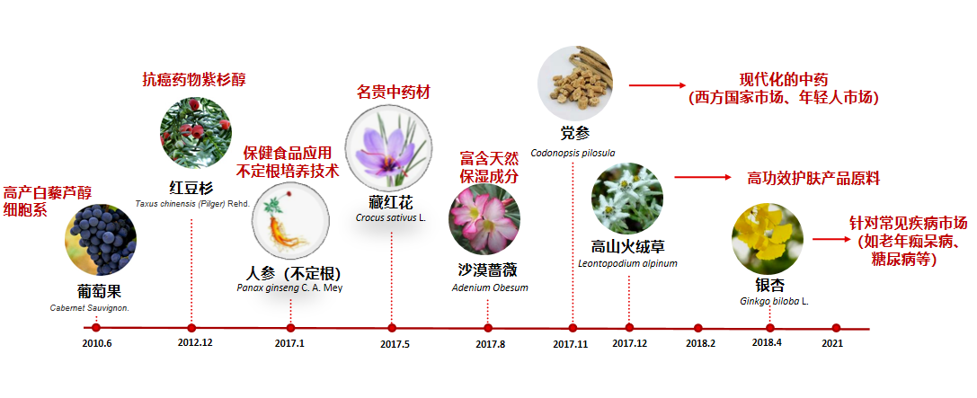 对话张卫院士：生物经济是全球潮流，安赛搏专注植物细胞农业产业化布局