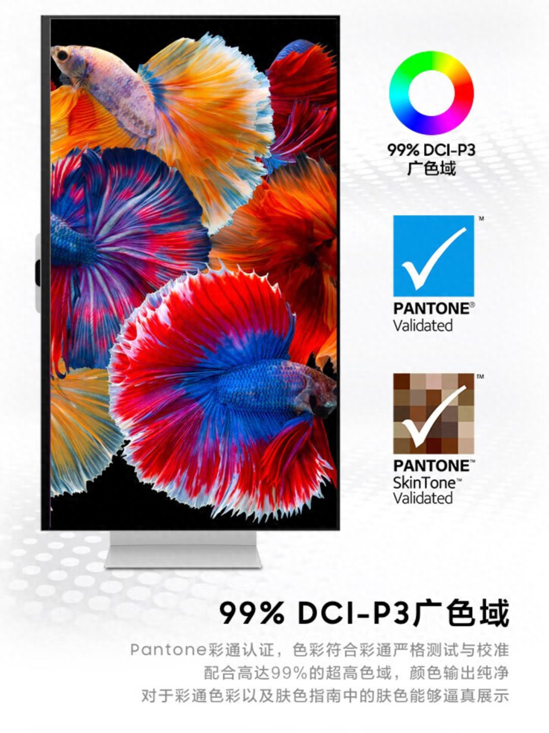 让摄影修图成为享受！5K专业显示有什么特别魅力？