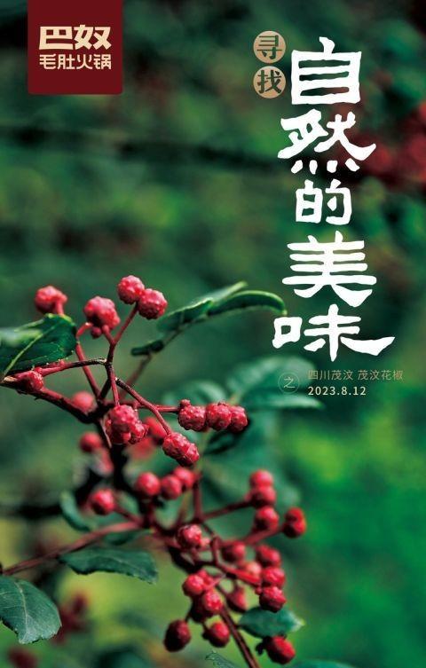 餐饮消费升温,巴奴火锅“慢”直播引发情感共鸣