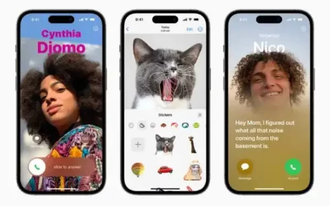 如何在iOS 17的FaceTime上留下视频信息