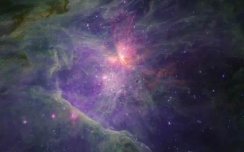NASA/ESA/CSA韦伯太空望远镜的猎户座星云广角视图发布