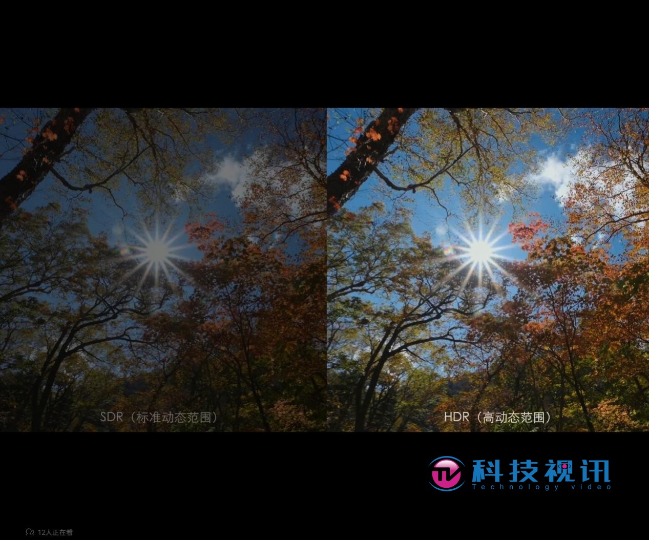 最强性能,折叠机皇! 三星Galaxy Z Fold5 评测