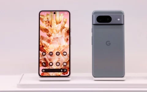传Google Pixel 9将采用更大屏幕 且谷歌会增添一款新Pro型号