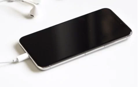 Google谷歌 Pixel 8 和 Pixel 8 Pro 手机被曝发热问题