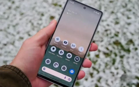谷歌Google Pixel 8怎么样？ 来看看详细数据
