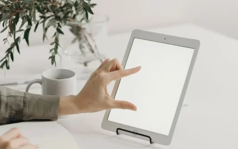Amazon优惠 Apple iPad 2021 Wi-Fi版平板电脑  256GB现价$399