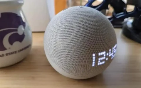 黑色星期五优惠：亚马逊Amazon以83美元价格出售Echo和Echo Dot包