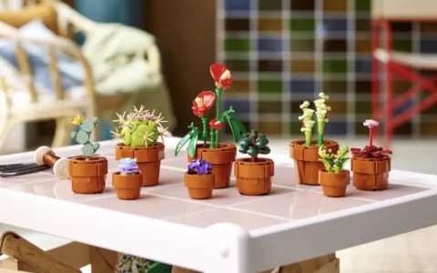 LEGO官网植物学系迷你盆栽10329开启预售  只要49.99美元就可以拥有9盆小绿植