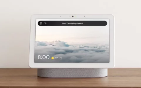 谷歌Google Nest Hub优惠40% 售价60美元