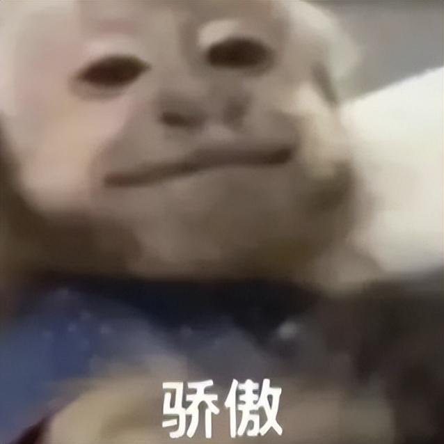 这新顶配旗舰，真的有点狠