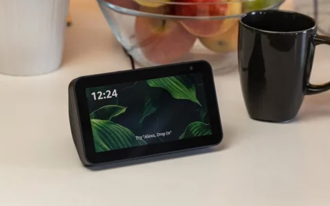 Echo Show 5和Ring Doorbell捆绑包在黑色星期五早期销售中降价至65美元