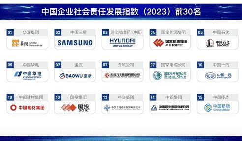 社科院发布企业社会责任蓝皮书 中国三星连续十一年蝉联外企第一