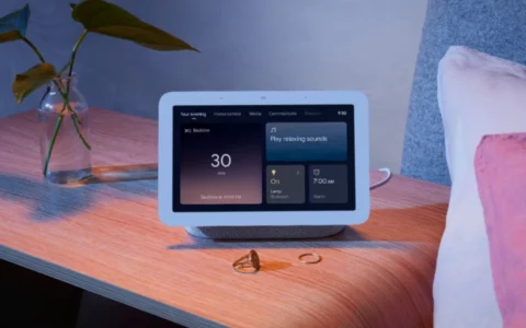 黑色星期五抢购：谷歌 Nest Hub 7 英寸智能显示屏（第二代）半价优惠！
