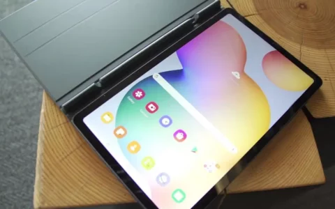 三星Samsung Galaxy Tab S6 Lite在德国亚马逊拥有24%折扣 售价325欧元