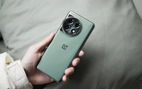 一加OnePlus 12将有白色、绿色和黑色三种颜色