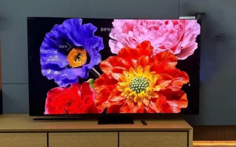 三星Samsung S90C OLED电视(55英寸)美国亚马逊优惠600美元 售价1298美元