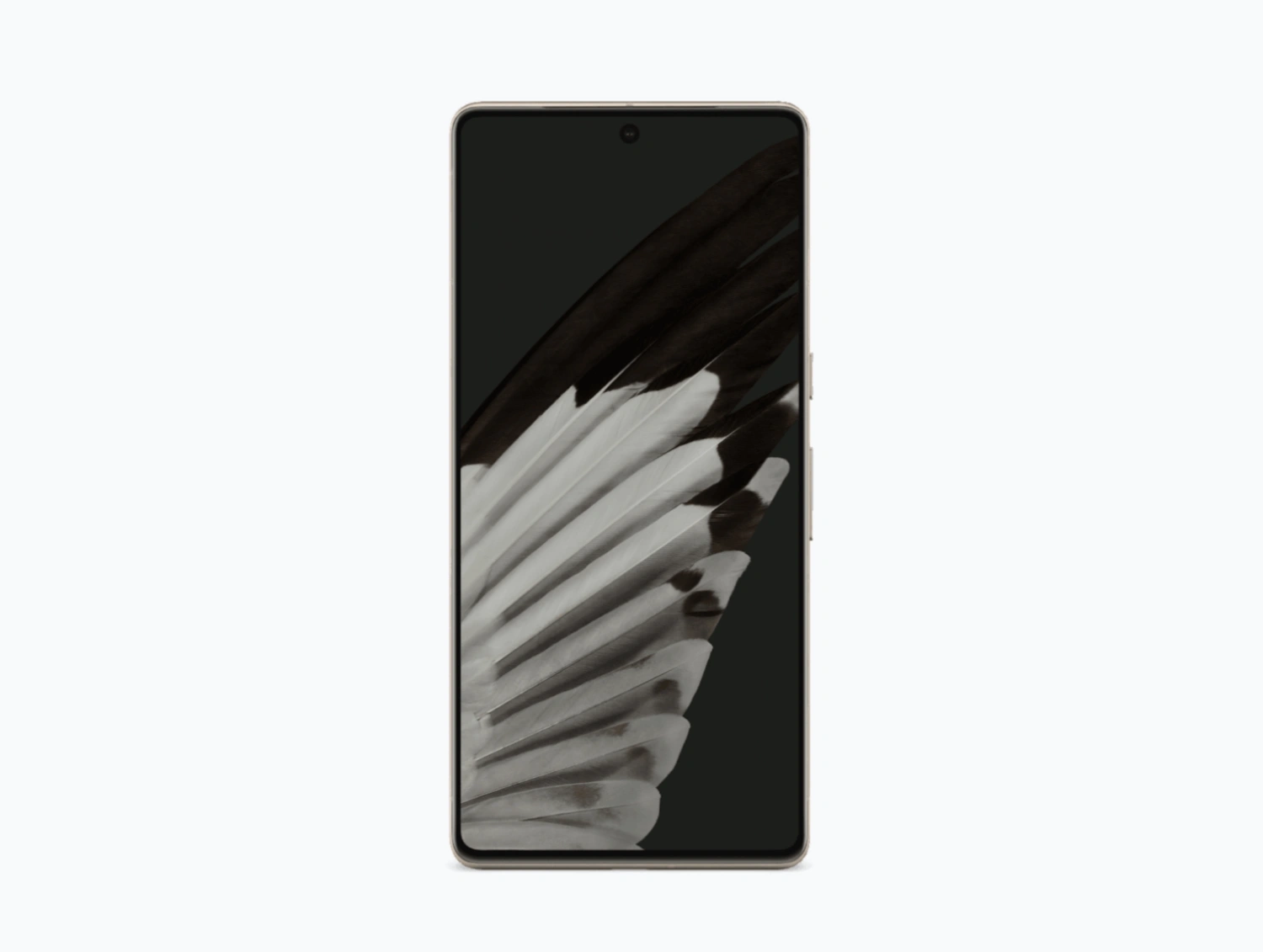 Google Pixel 7 Pro解锁版256GB优惠361新元 新加坡亚马逊黑色星期五优惠25%