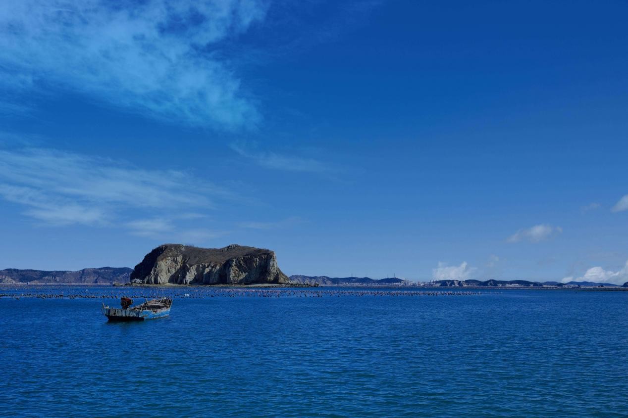 知嘛甄选｜《海上的宝藏——海参》系列直播精彩回顾
