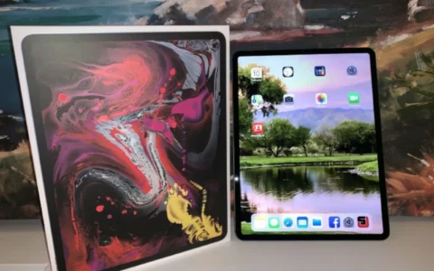 Apple iPad Pro 12.9蜂窝无锁版在美国亚马逊wool官网优惠390美元 仅售价809美元