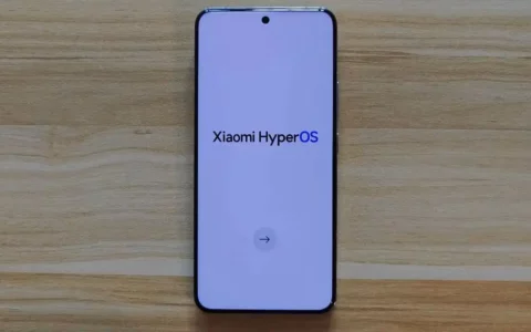 小米Xiaomi澎湃OS开发版1.0.23.11.27 / 30.DEV多机型推送 包括小米 14系列、小米 13系列等