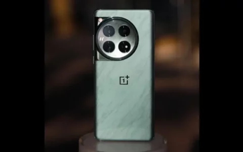 一加OnePlus 12信息泄漏 包括规格和颜色