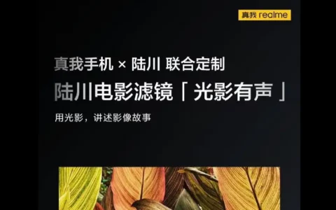 realme 真我 GT5 Pro手机再预热：搭载“陆川电影滤镜”