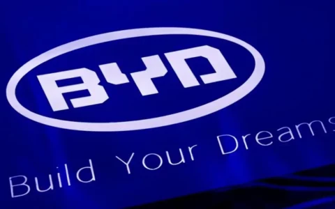 玩真的！ 比亚迪BYD悬赏最高500万打击恶意抹黑 长期有效