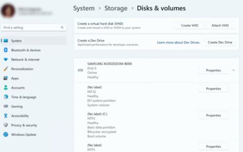 微软Microsoft Win11 Canary 26002预览版已将ReFS升级至3.12版本