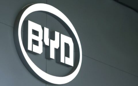 比亚迪BYD：王传福提议2亿元回购公司股份，用于员工持股计划、股权激励计划等