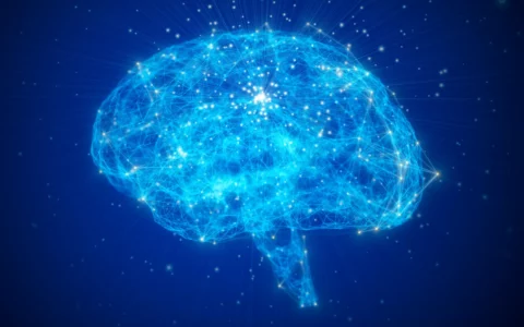 液体革命：麻省理工推出创新人工智能 Liquid AI，融资3750万美元