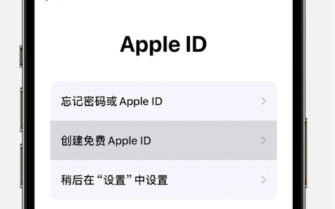 iPhone受监督管理怎么解除？iPhone如何自己设置访问权限