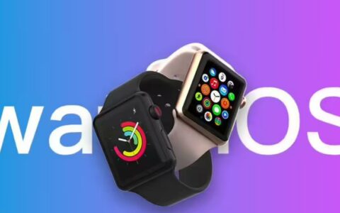 苹果Apple watchOS 10.3开发者预览版 Beta 发布