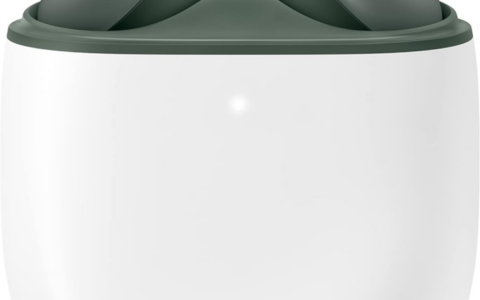 谷歌 Pixel Buds A 系列无线耳机深橄榄色德国亚马逊特惠，仅售65欧元！