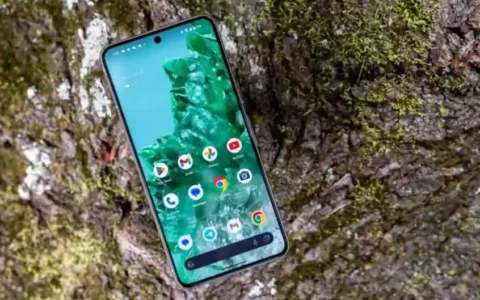 美国谷歌Google感恩回馈：YouTube高级用户专享Google Pixel 8系列优惠，最高可省325美元！