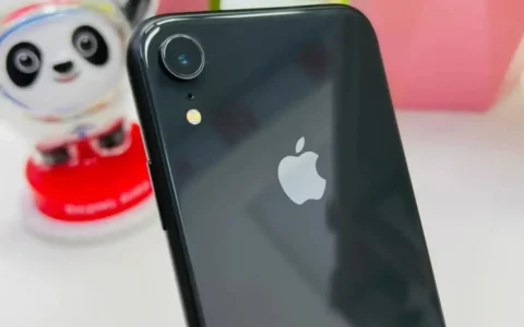 美国BEST BUY假日优惠：苹果Apple二手iPhone XR 64GB优惠30美元，售价269.99美元