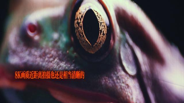 小伙打造“小城里的8K影院”火了 用的竟然是Vidda三色激光投影