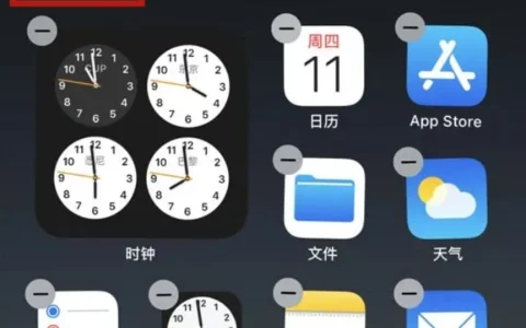苹果iPhone插件设置在哪？这样轻松设置