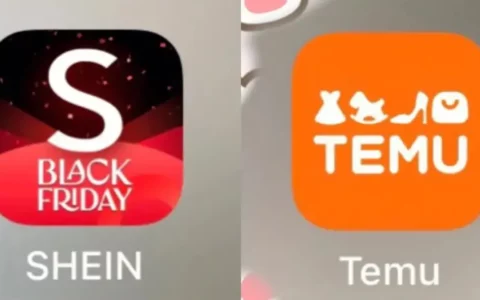 Shein和Temu成美国物流业新明星