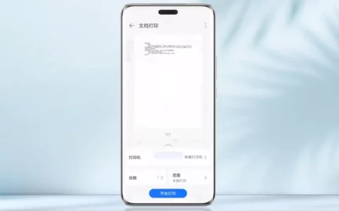 荣耀Honor Magic6 Pro手机正面曝光 采用居中双孔曲屏