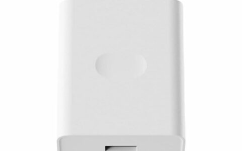 JoAt 65瓦C型充电器在印度亚马逊可以省1500卢布，仅售499卢布！