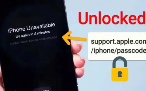 如何解决Apple iPhone或iPad被锁定的问题：无密码解锁的实用技巧