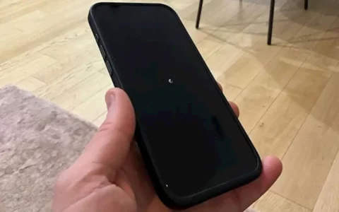 谨慎更新！部分用户iOS/iPadOS 17.3 beta 2更新后iPhone直接黑屏