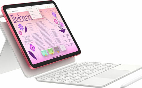 苹果Apple iPad（第10代）在美国亚马逊可以省100美元，仅售349美元！