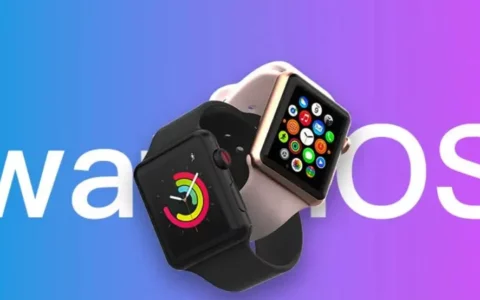 苹果Apple watchOS 10.3开发者预览版Beta 3发布