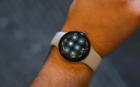 谷歌Google Pixel Watch和Pixel Watch 2迎来2024年首次更新